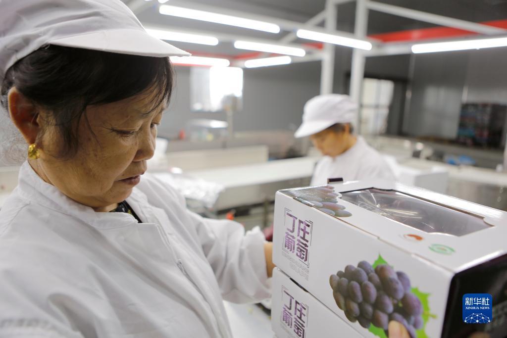 金沙国际网址